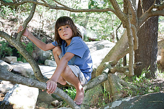 soi cau loto rong bach kim