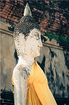 xs trà vinh