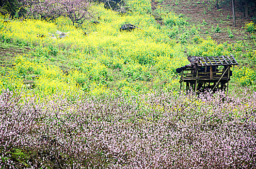 chốt lô