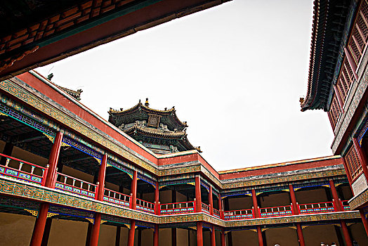 bạch thủ lô hôm nay