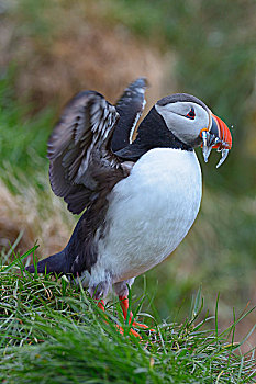 du doan xsmb 24h