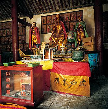 soi cau lo bach thu 8785