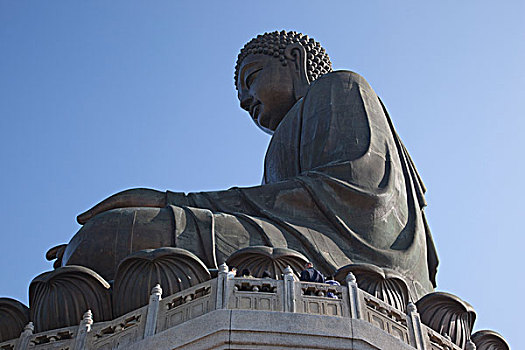 soi cau tuan