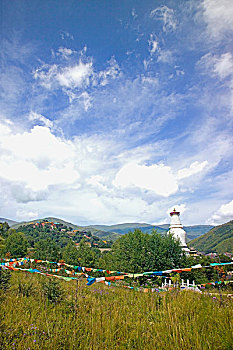 cau bach thu la
