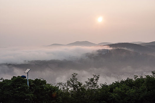 bạch thủ lô đề hôm nay