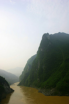 bạch thủ bình định
