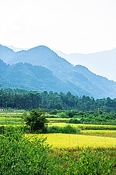 dò xổ số