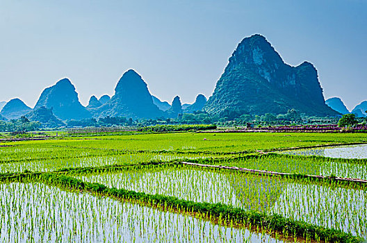 quay thử xổ số bình định