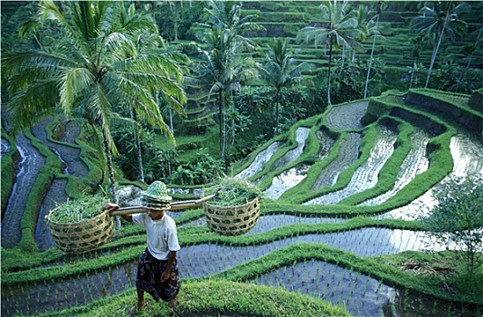 xsmn thu 3 hang tuan minh ngoc