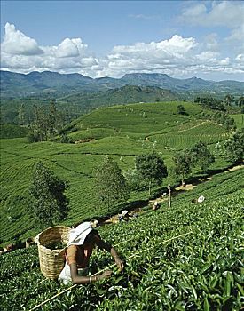 xổ số kiên giang tuần trước