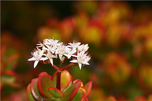 xổ số miền nam xổ số miền nam