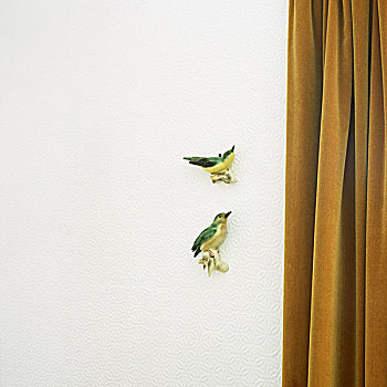 xs hậu giang