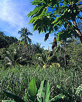soi cau lo de bach thu mien bac