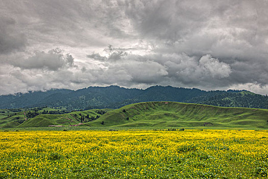 lô kép khung 5 ngày