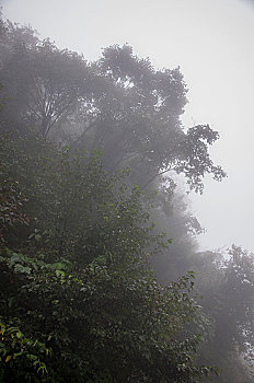xs mình ngoc